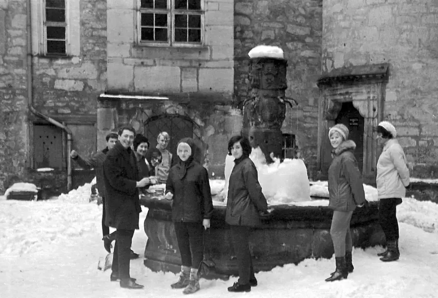 Brennholz & Kaminholz Lieferung nach Schleusingen (PLZ 98553) – Kammergetrocknetes Buchenholz von Brennholzhandel Vey