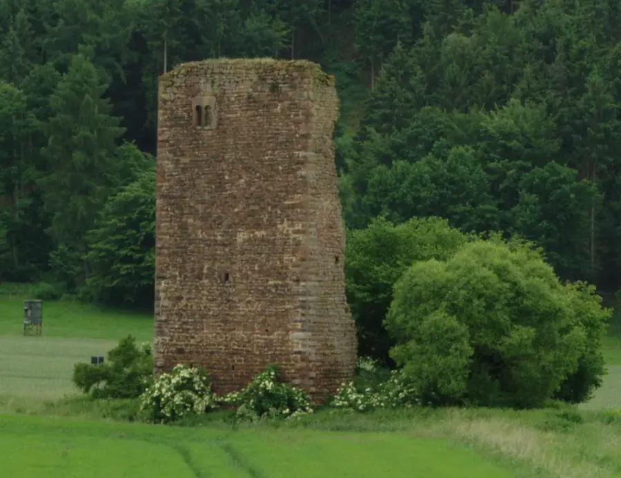 Brennholz & Kaminholz Lieferung nach Schlitz (PLZ 36110) – Kammergetrocknetes Buchenholz von Brennholzhandel Vey