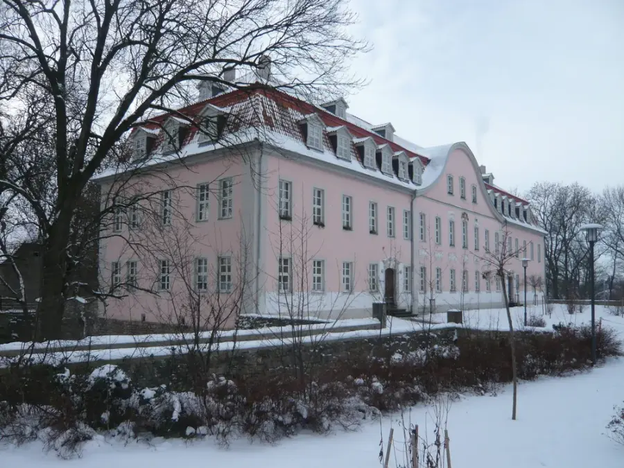 Brennholz & Kaminholz Lieferung nach Schlotheim (PLZ 99994) – Kammergetrocknetes Buchenholz von Brennholzhandel Vey