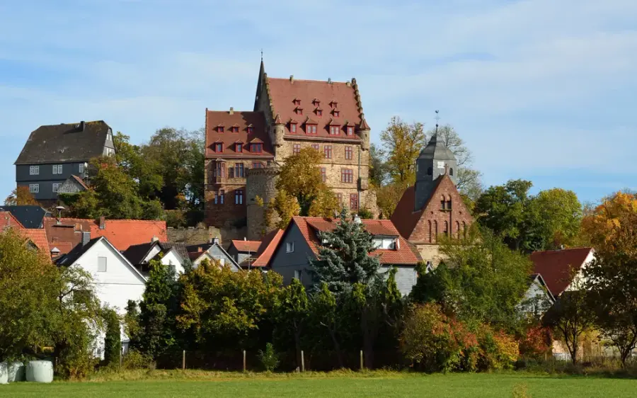 Brennholz & Kaminholz Lieferung nach Stadtallendorf (PLZ 35260) – Kammergetrocknetes Buchenholz von Brennholzhandel Vey