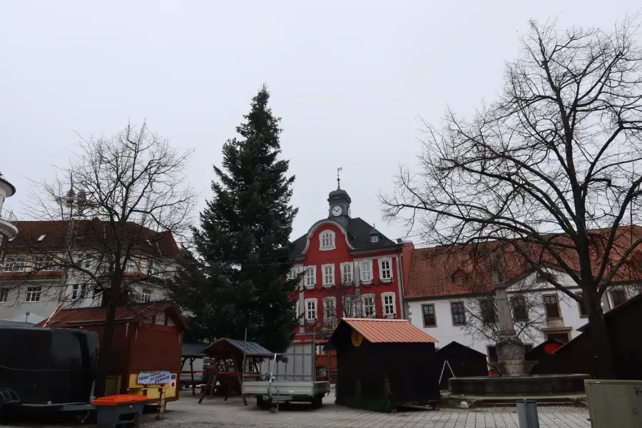 Brennholz & Kaminholz Lieferung nach Suhl (PLZ 98527) – Kammergetrocknetes Buchenholz von Brennholzhandel Vey