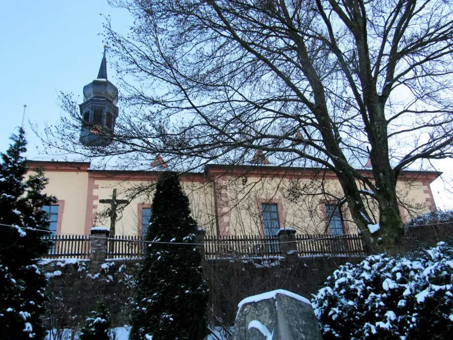 Brennholz & Kaminholz Lieferung nach Wildflecken (PLZ 97772) – Kammergetrocknetes Buchenholz von Brennholzhandel Vey