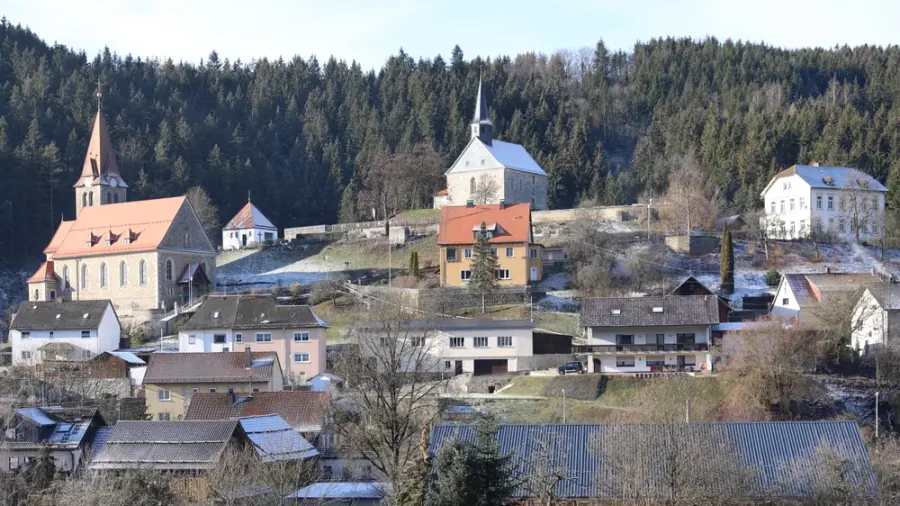 Brennholz & Kaminholz Lieferung nach Wilhelmsthal (PLZ 96352) – Kammergetrocknetes Buchenholz von Brennholzhandel Vey