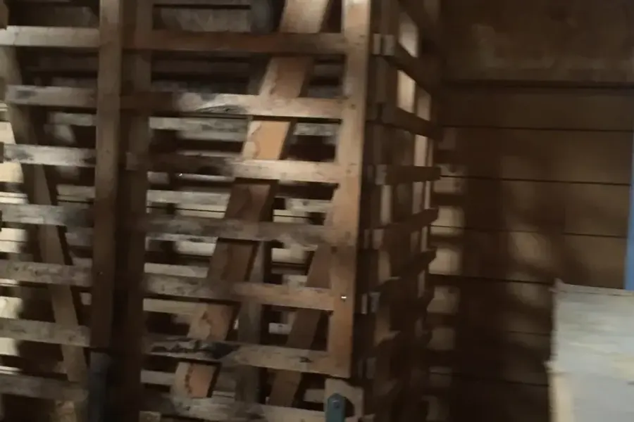 Kammergetrocknetes Buchen-Industrieholz (6–8 % Restfeuchte, bis 6,2 kWh/kg Heizwert) und Scheitholz für Weimar